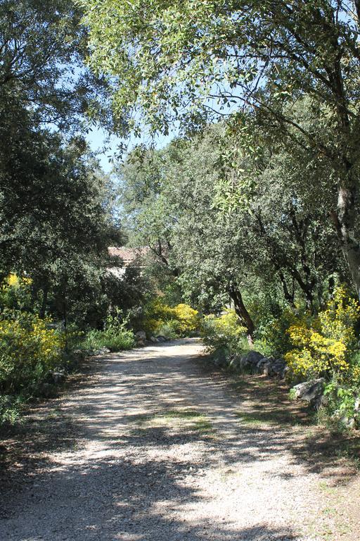 A L'Est D'Uzes Villa Saint-Siffret Dış mekan fotoğraf