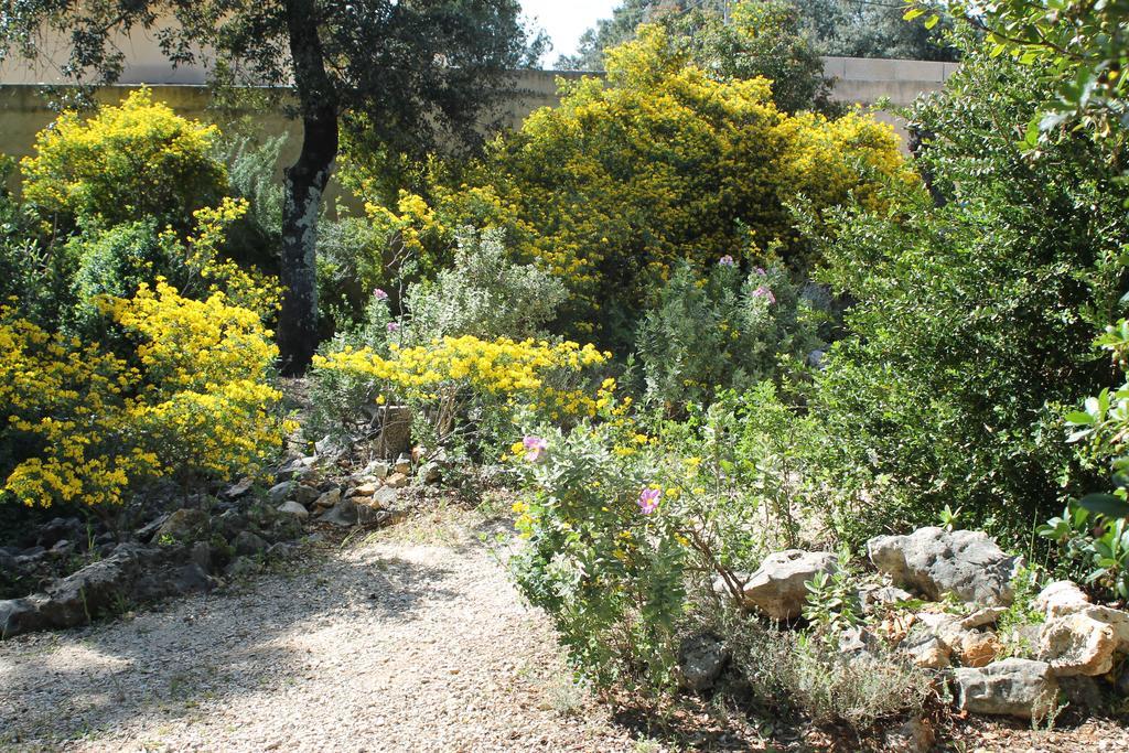 A L'Est D'Uzes Villa Saint-Siffret Dış mekan fotoğraf